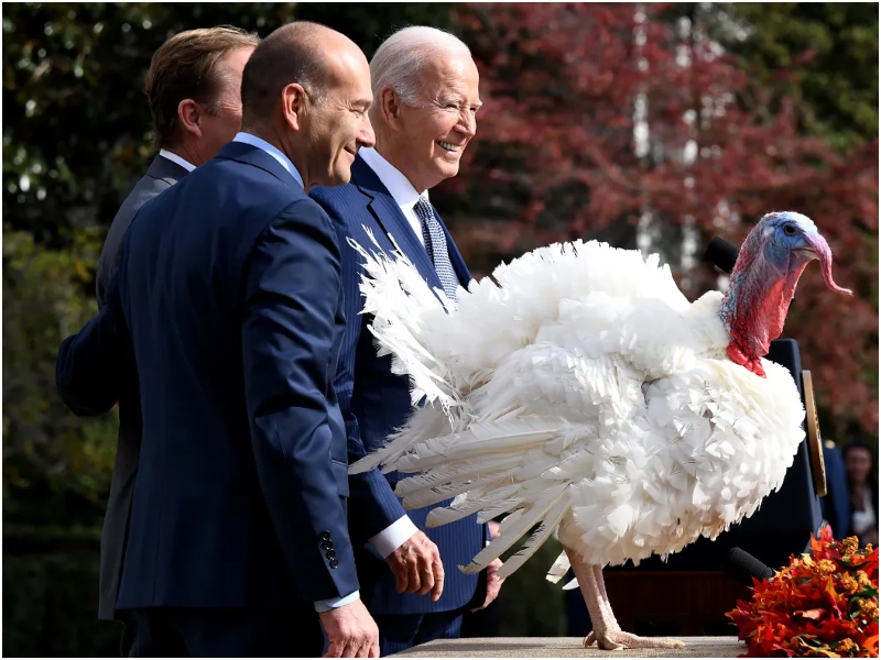 Turkey Pardoning and Presidential Authority: A Brief History