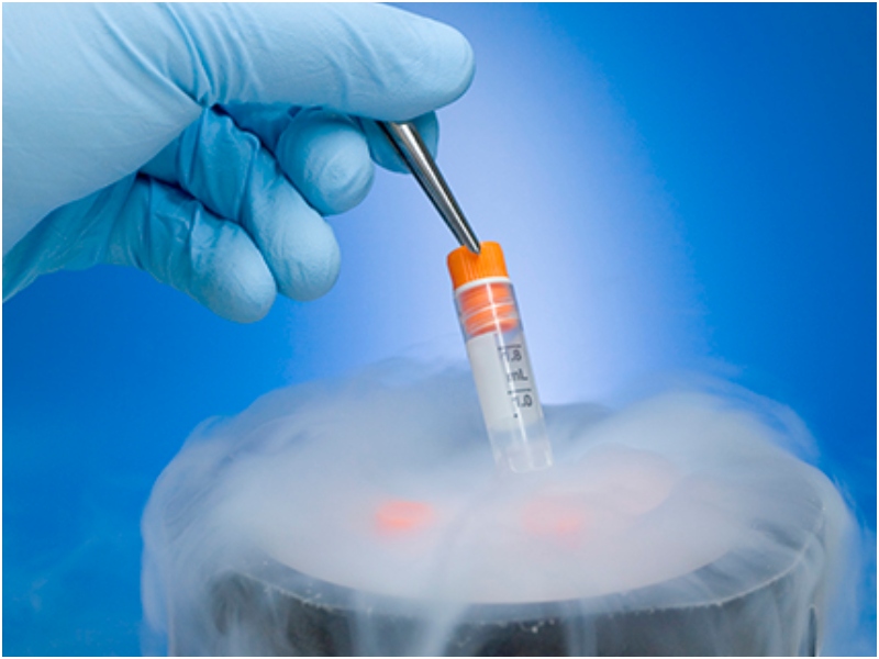 Alabama Supreme Court Ruling Stalls Mother’s IVF Journey, Frozen Embryos Now Children