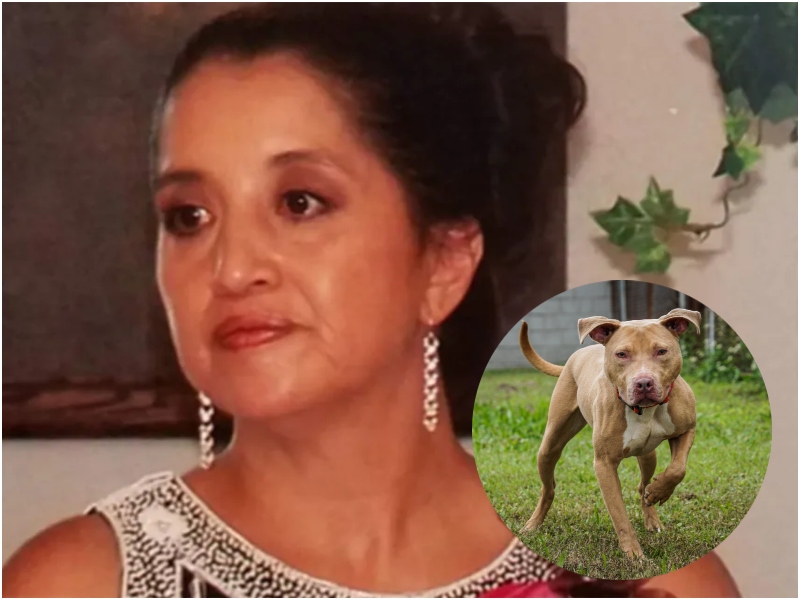 Man Facing Multiple Charges After His Pitbull Gnawed On His Mom’s Legs Killing Her