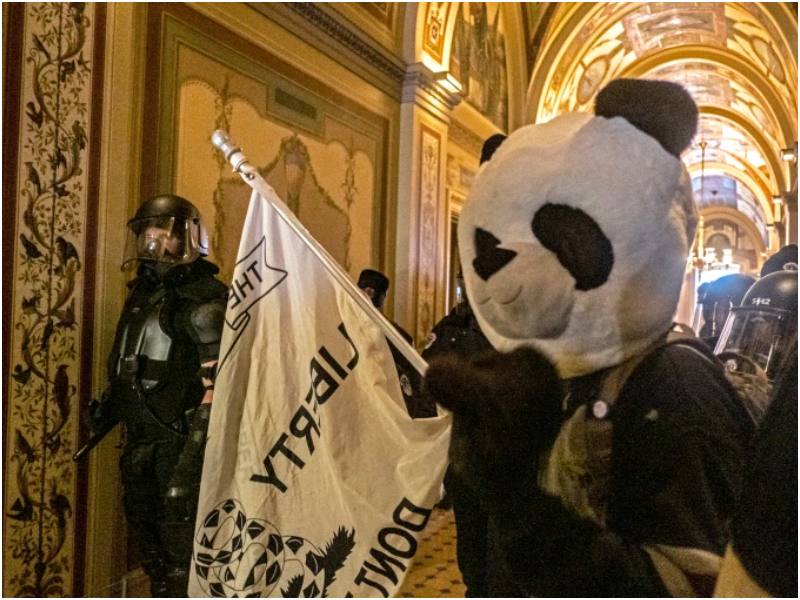 ‘Sedition Panda’ Convicted For Attacking Officers During Capitol Riot