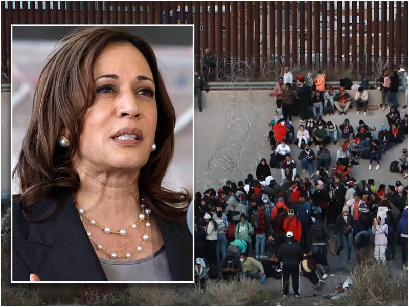 Kamala Harris Immigration