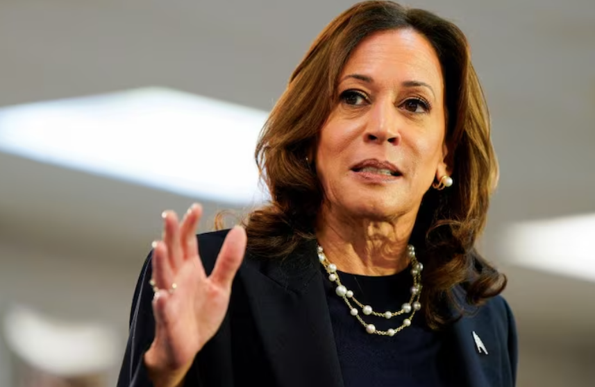 Vice President Kamala Harris Faces Scrutiny Over Long-Term Approach to Migration Crisis