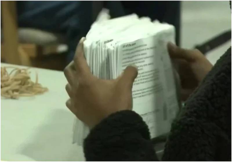 Hand holding ballots