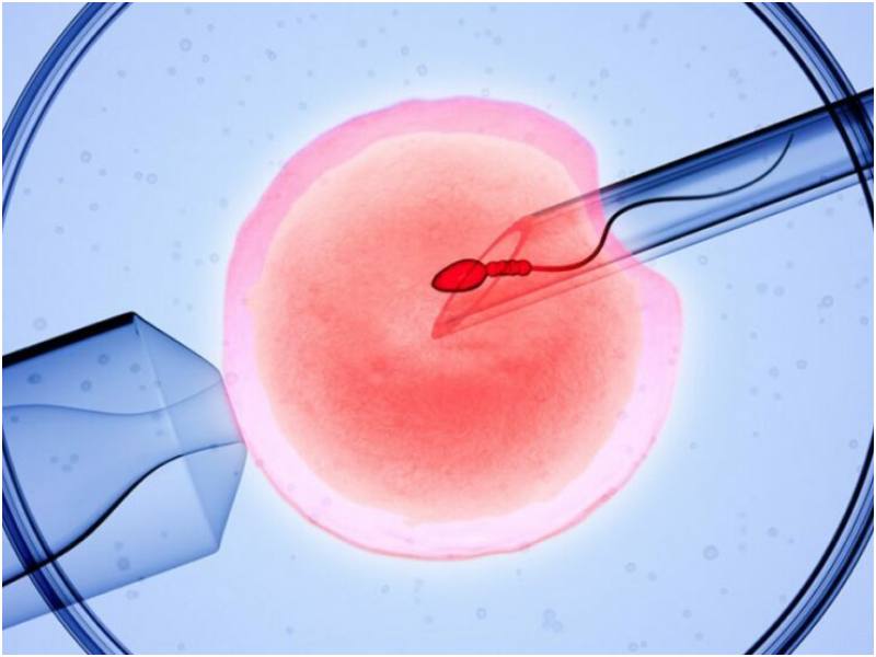 US Senate Blocks Two Separate IVF Bills