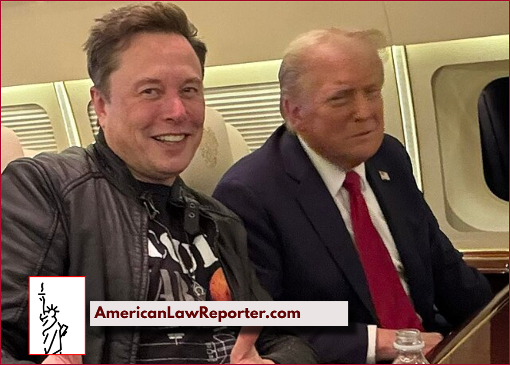 Could This Interview Be The Reason Elon Musk Stepped Down From DOGE Role?