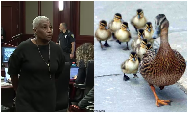 Florida Woman Facing Up to 55 Years in Prison Pleads Not Guilty to 11 Felony Animal Cruelty Charges For Allegedly Killing Ducklings