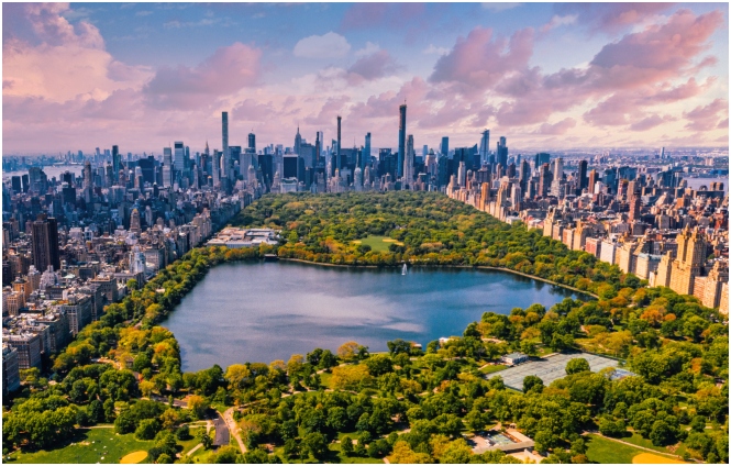 Environmental Groups Sue New York Regulators Over Loopholes Weakening Lead Safety Rules